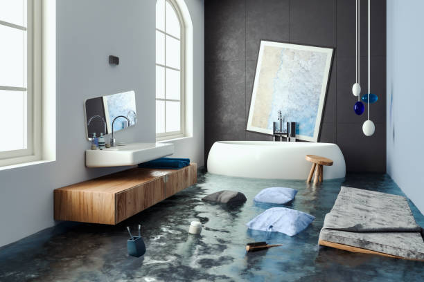 Best Flooded house restoration  in South Vacherie, LA