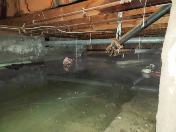 Water damage restoration experts in LA