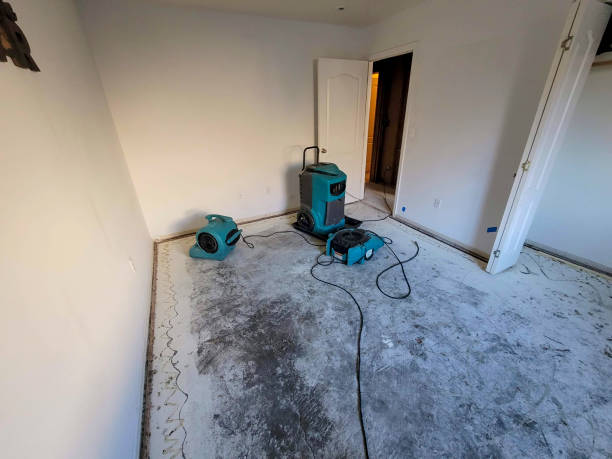 Best Water damage restoration mold remediation  in South Vacherie, LA