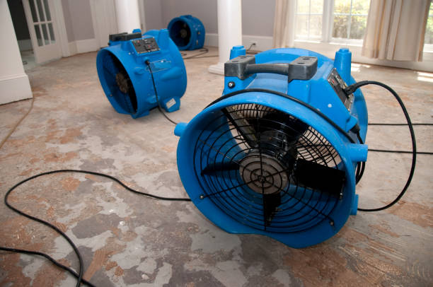 Best 24/7 water damage repair  in South Vacherie, LA