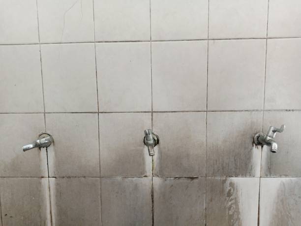 Best Water damage restoration near me  in South Vacherie, LA