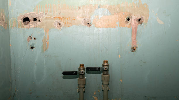 Best 24-hour water damage restoration  in South Vacherie, LA