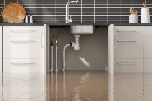 Best Water damage restoration experts  in South Vacherie, LA