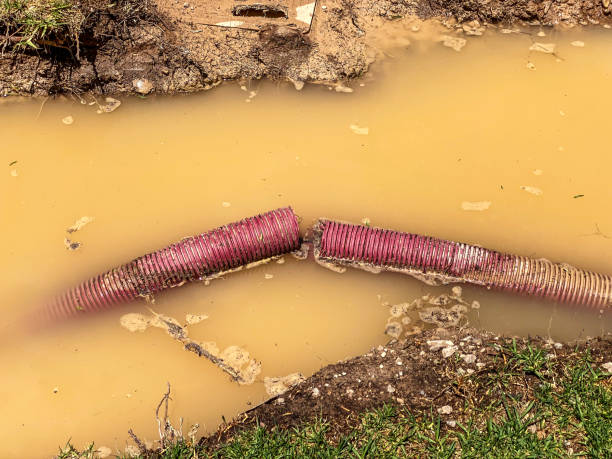 Water damage restoration mold remediation in LA