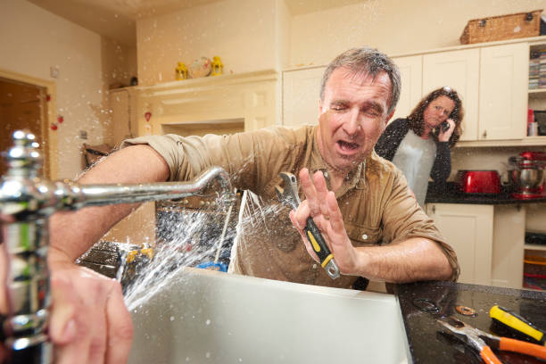 Best Fire Damage Restoration  in South Vacherie, LA